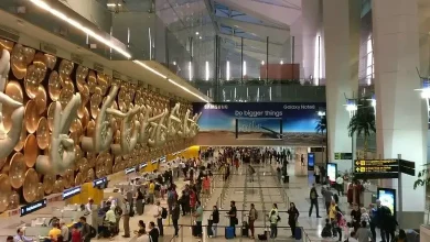 Delhi Airport Passenger Capacity