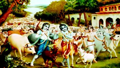 ચિંતન: શ્રીકૃષ્ણની કેટલીક અદ્ભુત ભેટ...