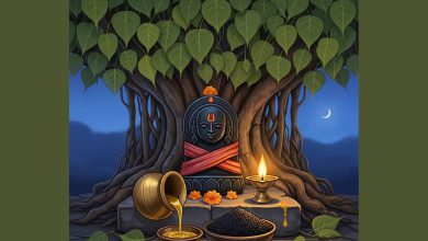 શ્રાવણ માસની અમાસ સાથે શનિવારનો શુભ યોગ, જાણો શું કરવુ જોઈએ?