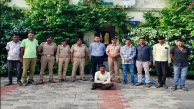 Talaja Wildlife Range lion viral video Gautam Shiyal arrested