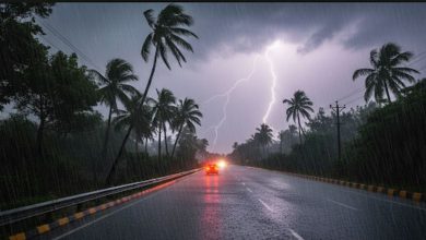 ગુજરાતના ત્રણ જિલ્લામાં આજે અતિ ભારે વરસાદની આગાહી, તંત્ર એલર્ટ મોડ પર