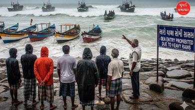 ગુજરાતના અનેક જીલ્લાઓમાં ભારે વરસાદની આગાહી, માછીમારોને દરિયો ન ખેડવા સૂચના