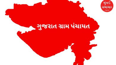 ગ્રામ પંચાયતમાં ડિજિટલ કનેક્ટિવિટી
