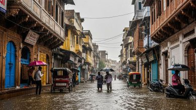 આજથી ગુજરાતમાં વરસાદનું જોર વધશે! 19 ઓગસ્ટ સુધી ભારે વરસાદની આગાહી