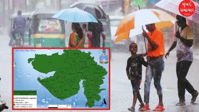 ગુજરાતમાં આજે મોટાભાગના વિસ્તારમાં હળવાથી મધ્યમ વરસાદની આગાહી, 75 ડેમ એલર્ટ પર