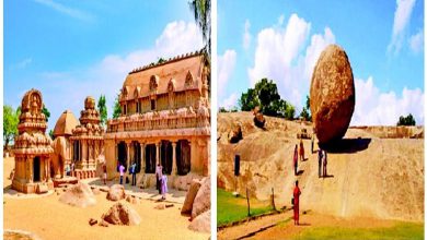 Special: Have you seen Shri Krishna's butter ball?