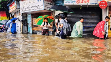 મેઘરાજાએ મુંબઈને ધમરોળ્યું: લોકલ ટ્રેન-રોડ વ્યવહારને માઠી અસર, રાજ્યમાં 7ના મોત