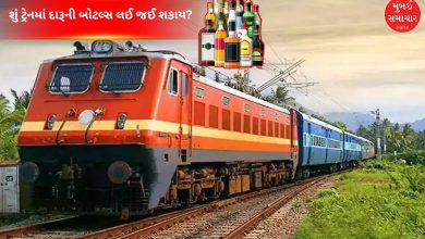 ટ્રેનમાં મુસાફરી કરતી વખતે દારૂ લઈ જઈ શકાય કે નહીં? જાણો ભારતીય રેલવેના નિયમો અને રાજ્યોના કાયદાઓ વિશે. કયા સંજોગોમાં દંડ કે જેલ થઈ શકે છે તે વિશેની સંપૂર્ણ માહિતી અહીં આપેલી છે.