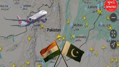 Pakistan's price for burning: India loses crores due to airspace closure, read report