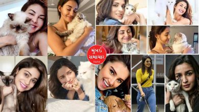 International Cat Day: These celebs' love for cats is absolutely amazing...