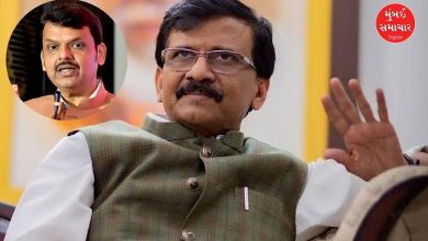Is Fadnavis a vegetarian Sanjay Raut