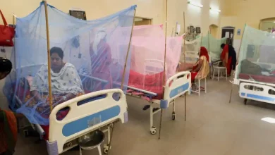 Mumbai Reports Double Malaria Cases, Fivefold Chikungunya Rise