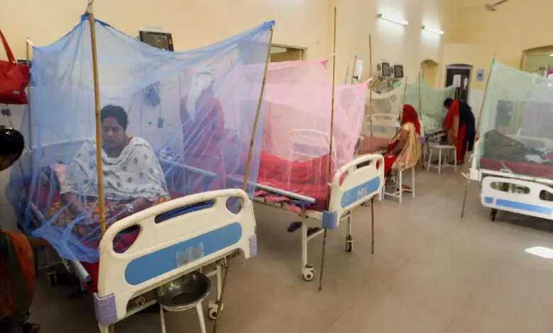 Mumbai Reports Double Malaria Cases, Fivefold Chikungunya Rise