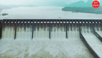 ગુજરાતમાં મેઘ મહેર: ૭૬ ડેમ હાઈએલર્ટ પર, સરદાર સરોવરમાં ૭૬% થી વધુ પાણી