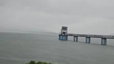 Navi Mumbai Morbe dam overflows