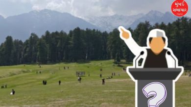 કોંગ્રેસના ક્યા ટોચના નેતાએ પહલગામ હુમલા અંગે કર્યું વિવાદાસ્પદ નિવેદન ?