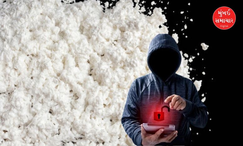 Photo code in drug trafficking