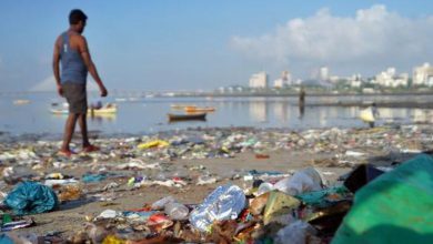 મુંબઈમાં પ્લાસ્ટિક કચરો ફરી બન્યો વિલન: વિક્રોલી રેલવે બ્રિજ પર ભરાયેલા પાણી બાદ BMC લેશે આ પગલા