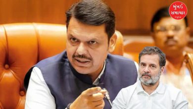 Rahul Gandhi's brain has been stolen Fadnavis