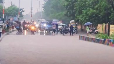 હાલોલમાં 8 કલાકમાં 10 ઇંચ વરસાદ, પાવાગઢમાં પગથિયા પરથી પાણીનો ધોધ વહ્યો