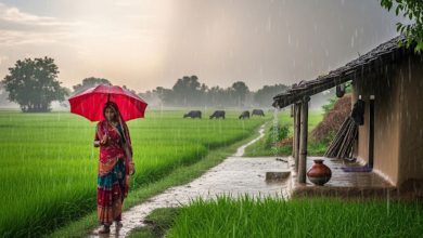 પહાડી વિસ્તારથી મેદાની વિસ્તાર સુધી સાંબેલાધાર વરસાદ, અનેક રાજ્યોમાં જનજીવન અસ્તવ્યસ્ત