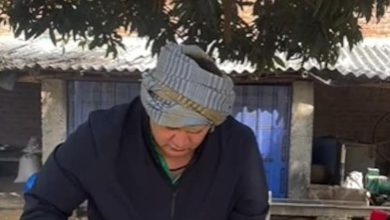 સૈયારાના આ અભિનેતાએ અભિનય છોડી કરી હતી ખેતી, માથે થઈ ગયું કરોડોનું દેવું પણ...