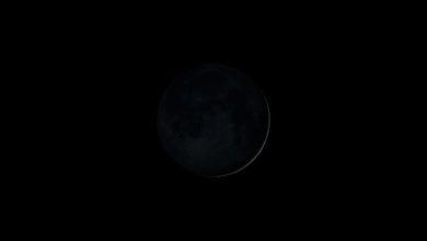 શ્રાવણની અમાસ પર આ કરવાથી પૂર્વજો થશે પ્રસન્ન, જાણો સ્નાન અને દાનનો શુભ સમય