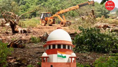 Supreme Court Aarey trees