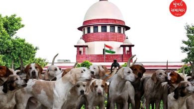 રખડતા શ્વાનો મામલે સુપ્રીમ કોર્ટે પોતાનો આદેશ બદલ્યો; જાણો કોર્ટે શું કહ્યું