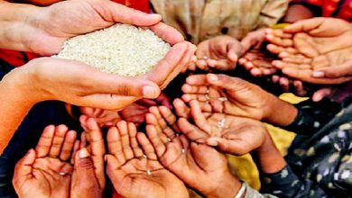 આહારથી આરોગ્ય સુધી: હિડન હંગર: એક છુપાયેલી ભૂખ કે કુપોષણ?