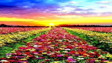 That's all for today: Charity is going on.