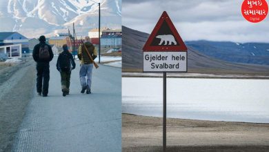 This region of the world is the safest, but you can't go out without a gun. What is the reason?