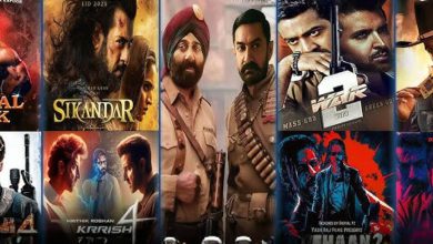 વર્ષ 2025ની સુપરહિટ ફિલ્મોના પોસ્ટર