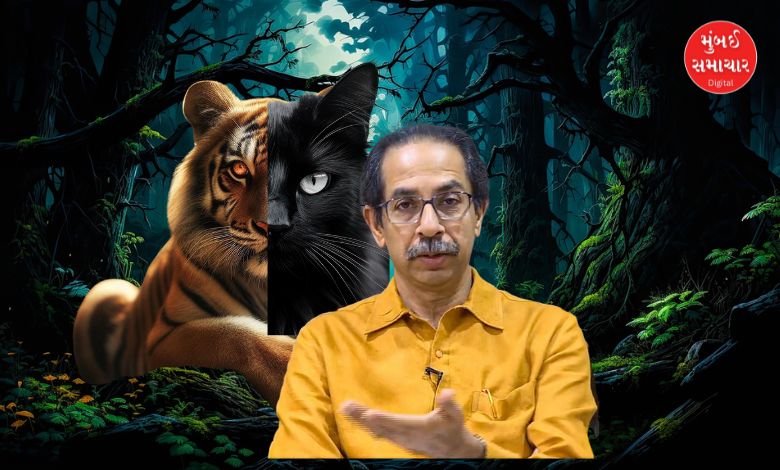 Uddhav Thackeray black cats