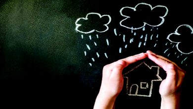 બ્રાન્ડ બનશે બિઝનેસ વધશે : રક્ષાબંધનના અવસરે તમારી બ્રાન્ડની સુરક્ષા કરો...