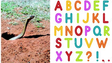 ઝબાન સંભાલ કે: રળે રામપર ને ખાય ખોડુ