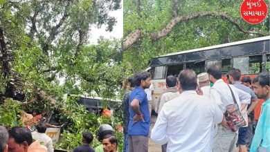 Heavy rain in Barabanki, Uttar Pradesh, five people killed, tree falls on bus