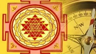 પર્સમાં આ 5 વસ્તુઓ રાખવાની ન કરશો ભૂલ, નહીંતર ખાલી થઈ જશે પૈસાની તિજોરી