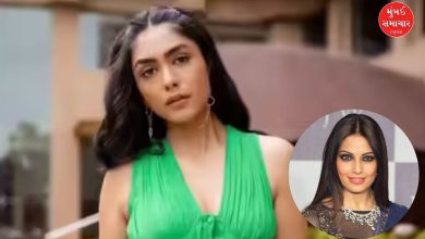 What did Mrunal Thakur say about Bipasha Basu