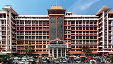 Wild cat disrupts Kerala High Court proceedings