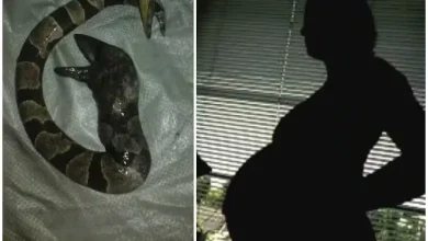 Woman claims to be born as a snake