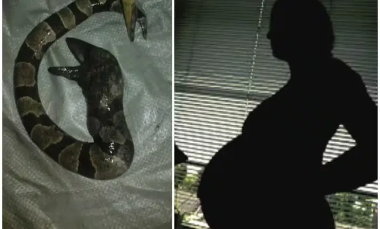 Woman claims to be born as a snake