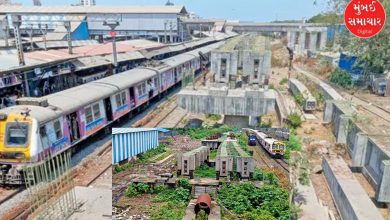 Work on 2 railway lines between Kurla-CSMT has been stalled for 10 years, know what is the reason?
