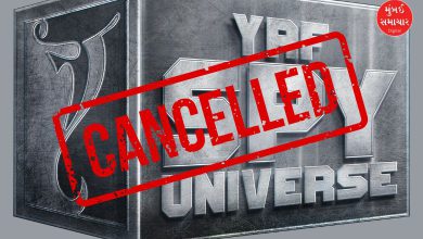 ‘વોર 2’ની નિષ્ફળતાનો મોટો ફટકો: YRFએ જુનિયર એનટીઆરની સ્પાય ફિલ્મ રદ કરી!