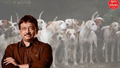 Ram Gopal Varma took aim at the Supreme Court's verdict, wrote, "What is your dog's medical report?"