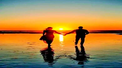 Let's accept everything, let's make life better.