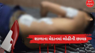 ચિંતાજનક ટ્રેન્ડઃ અમદાવાદ બાદ બાલાસિનોરમાં વિદ્યાર્થી પર છરી હુમલો