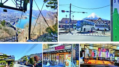 અરાઉન્ડ ધ વર્લ્ડ : કાચી કાચી યામા: ફુજીની તળેટીમાં સફરજન ને લોકવાયકાઓની મજા...