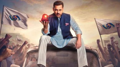 Bigg Boss 19: These celebrities, including Anupama's Anuj, made it to the finals
