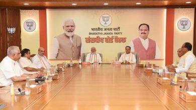 The election of BJP national president is stalled due to 4 states including Gujarat, by when will the new president be decided?